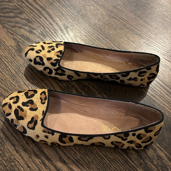Aldo Ostlie Cheetah Flat - Picture 5 of 6